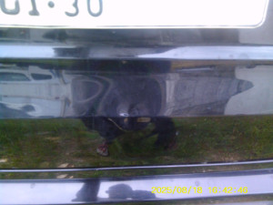 B 2935 SIW