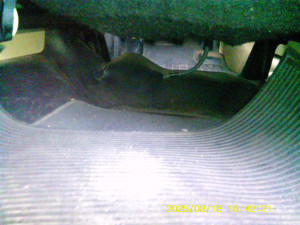 B 2935 SIW
