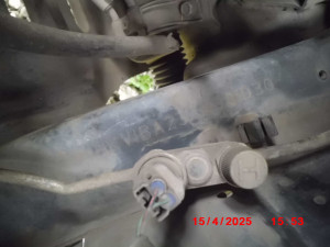 T 1553 C.