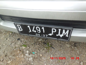 B 1491 PIM