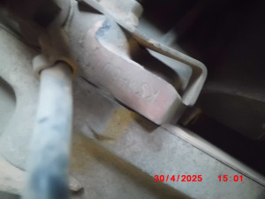 B 9018 PCR