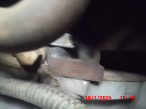 B 1491 PIM
