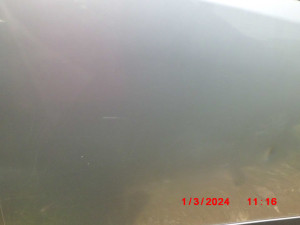 F 1077 CU